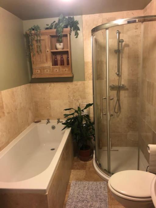דירות בריסטול Beautiful, Well Positioned Flat In Clifton Wood מראה חיצוני תמונה
